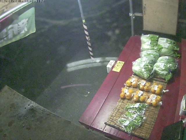 ���ꃉ�C�u�J����